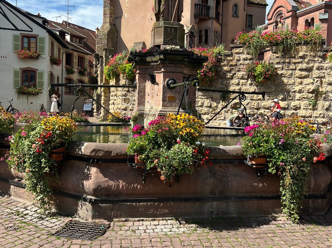 Colmar Bike Tours景点图片