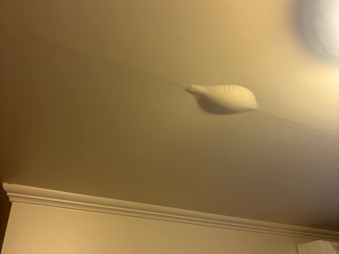 Le Grand Hotel主图