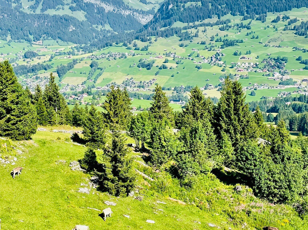 Berggasthaus Gamsalp主图
