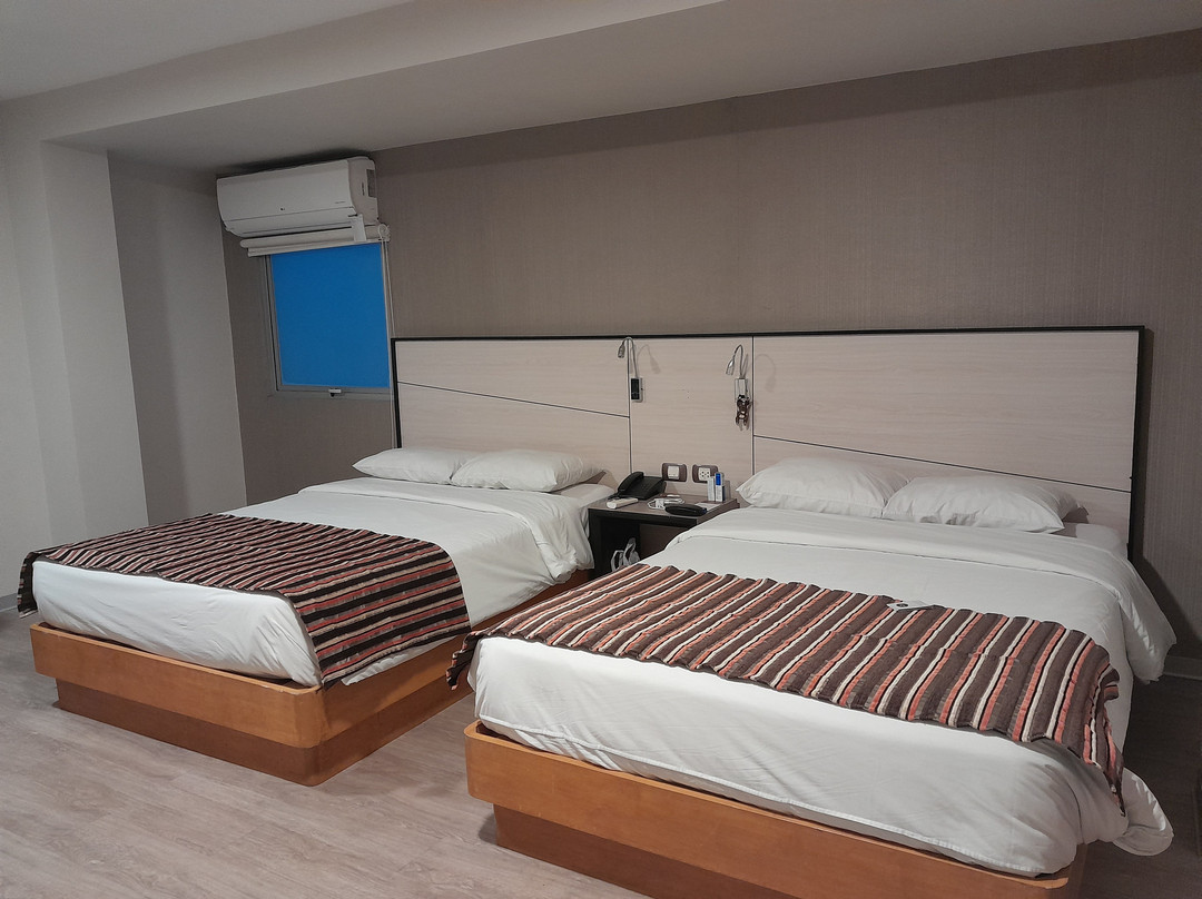 Victoria Regia Hotel & Suites主图