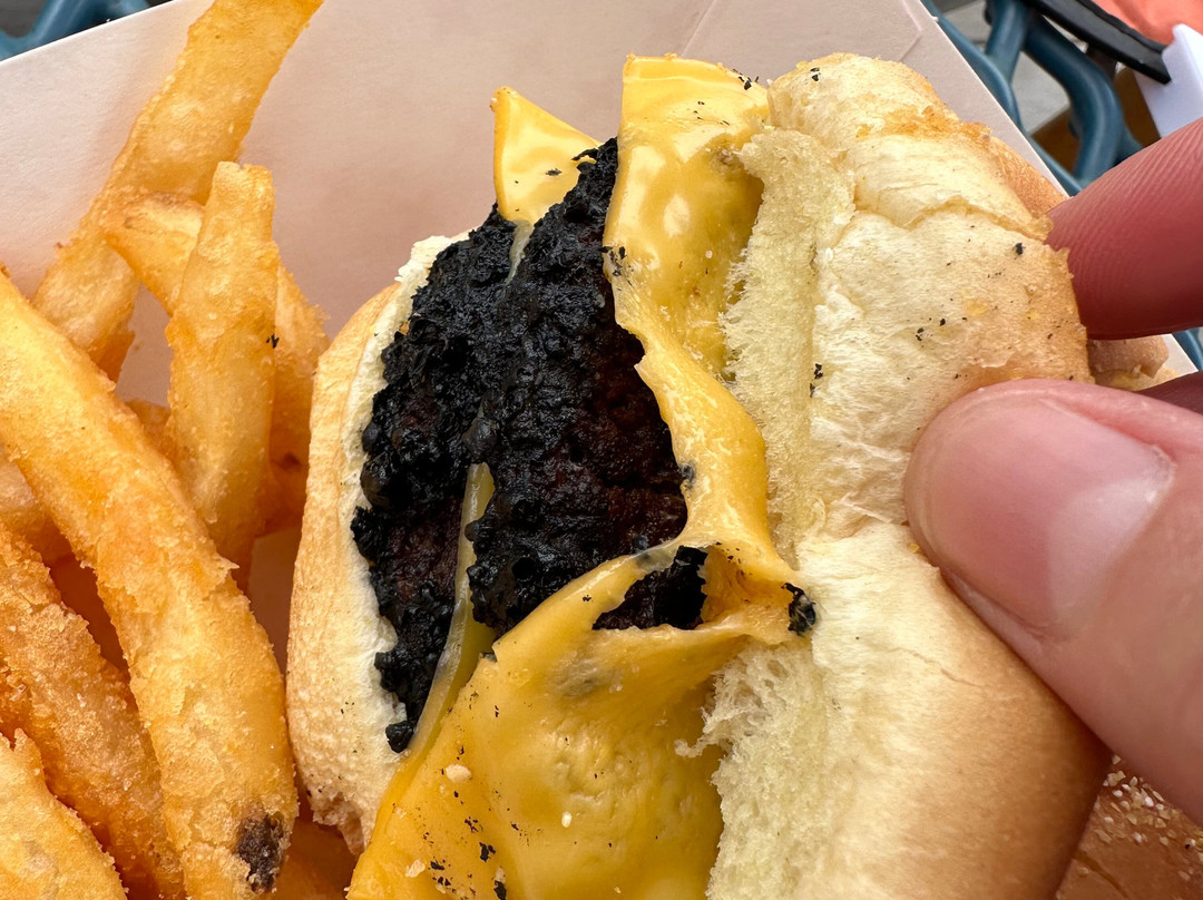 Adventureland Park-阿尔图纳必去景点