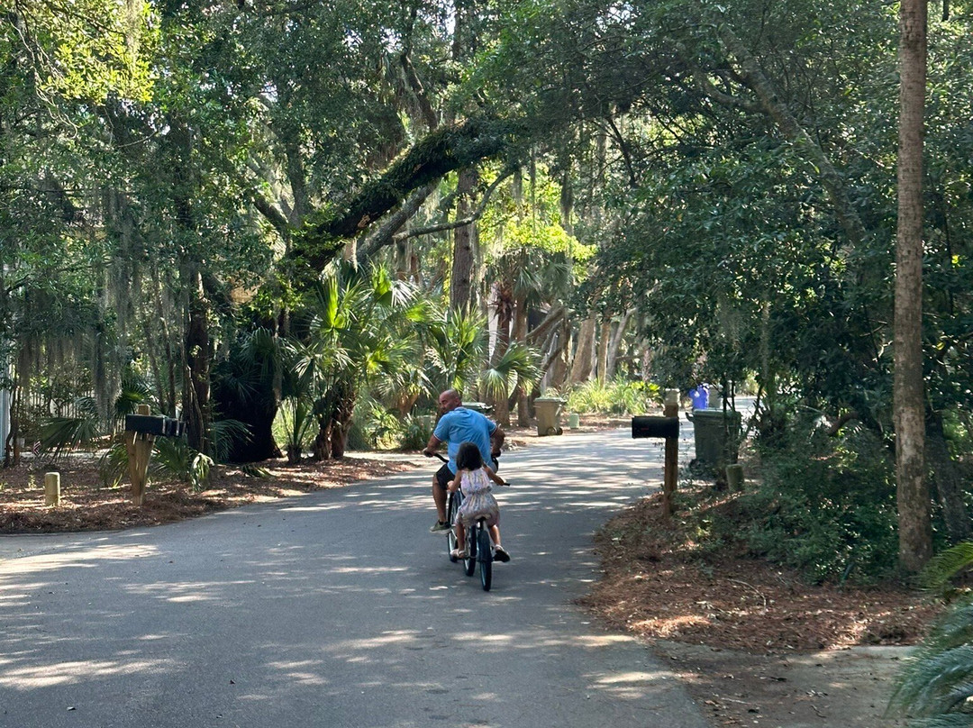 Isle of Palms Beach-棕榈岛必去景点