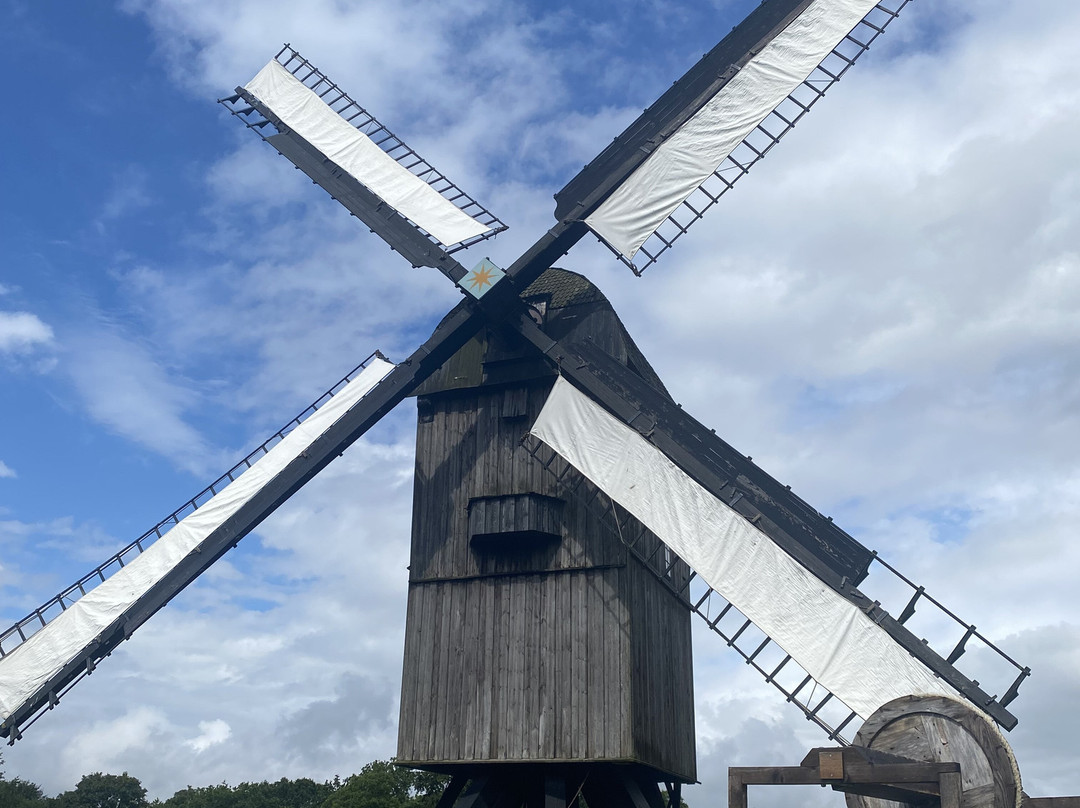 Frilandsmuseet Hjerl Hede景点图片