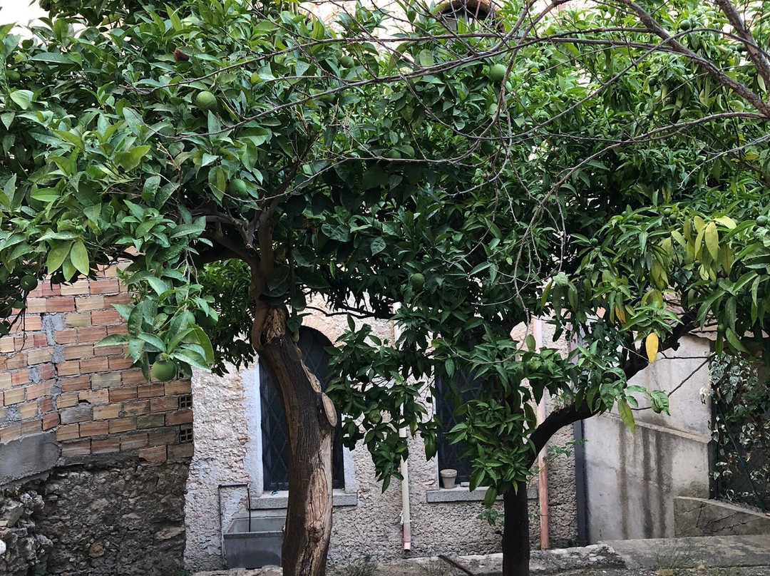 Bed & Breakfast Palazzo Mantegna主图