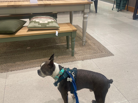 Peter Jones & Partners-伦敦必去景点