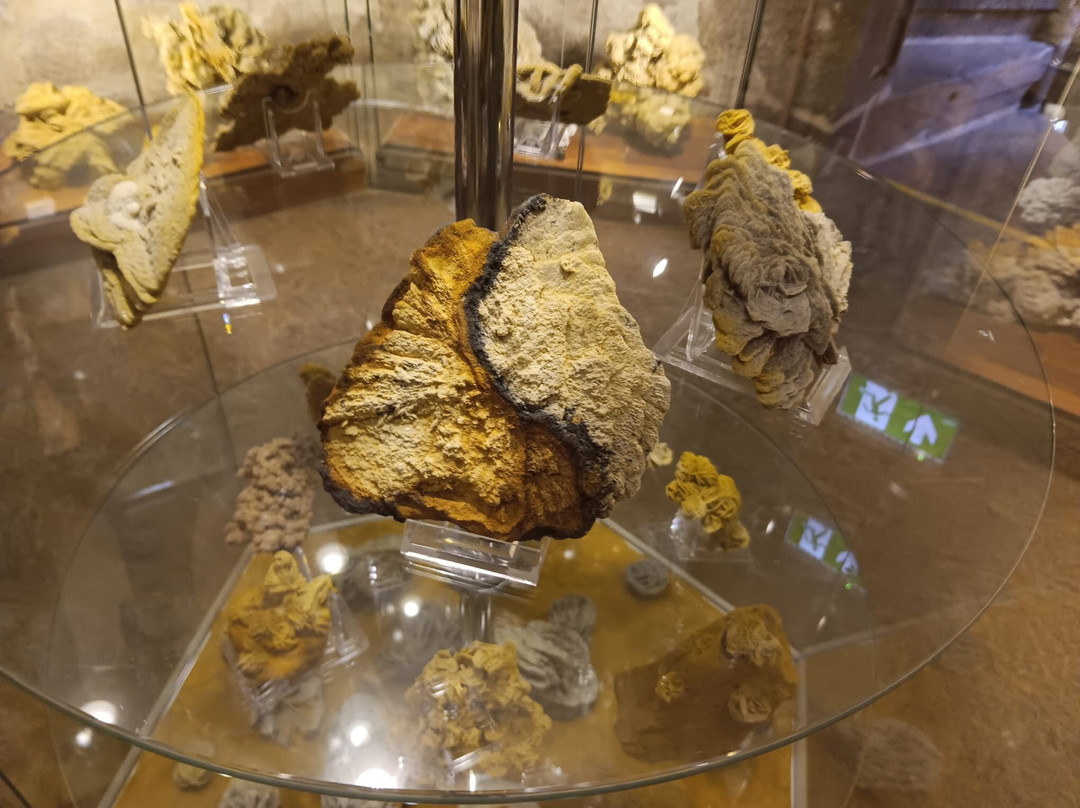 Sandrosenmuseum Buedingen景点图片