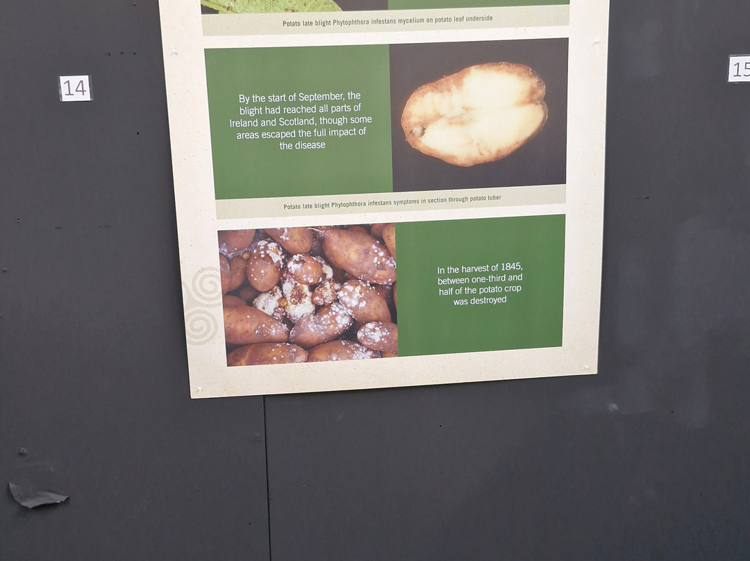 Irish Famine Exhibition-都柏林必去景点