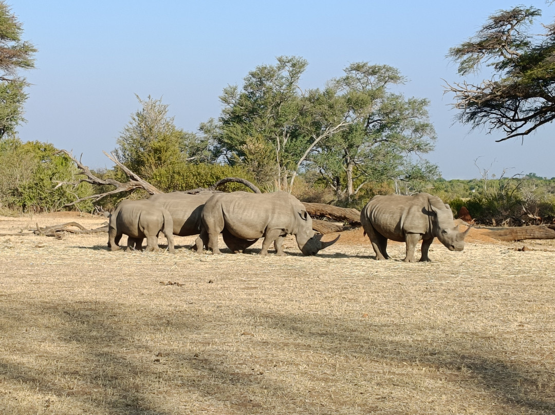 African Joined Tours and Safaris-李文斯顿必去景点