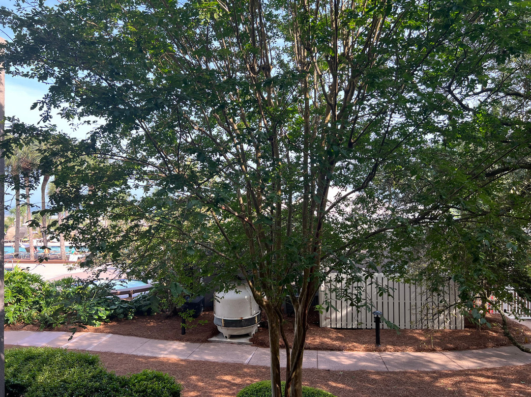 Marriott's Grande Ocean主图