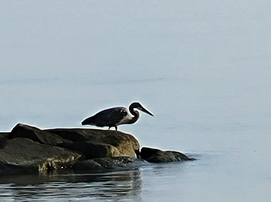 The Inn at Herrington Harbour主图