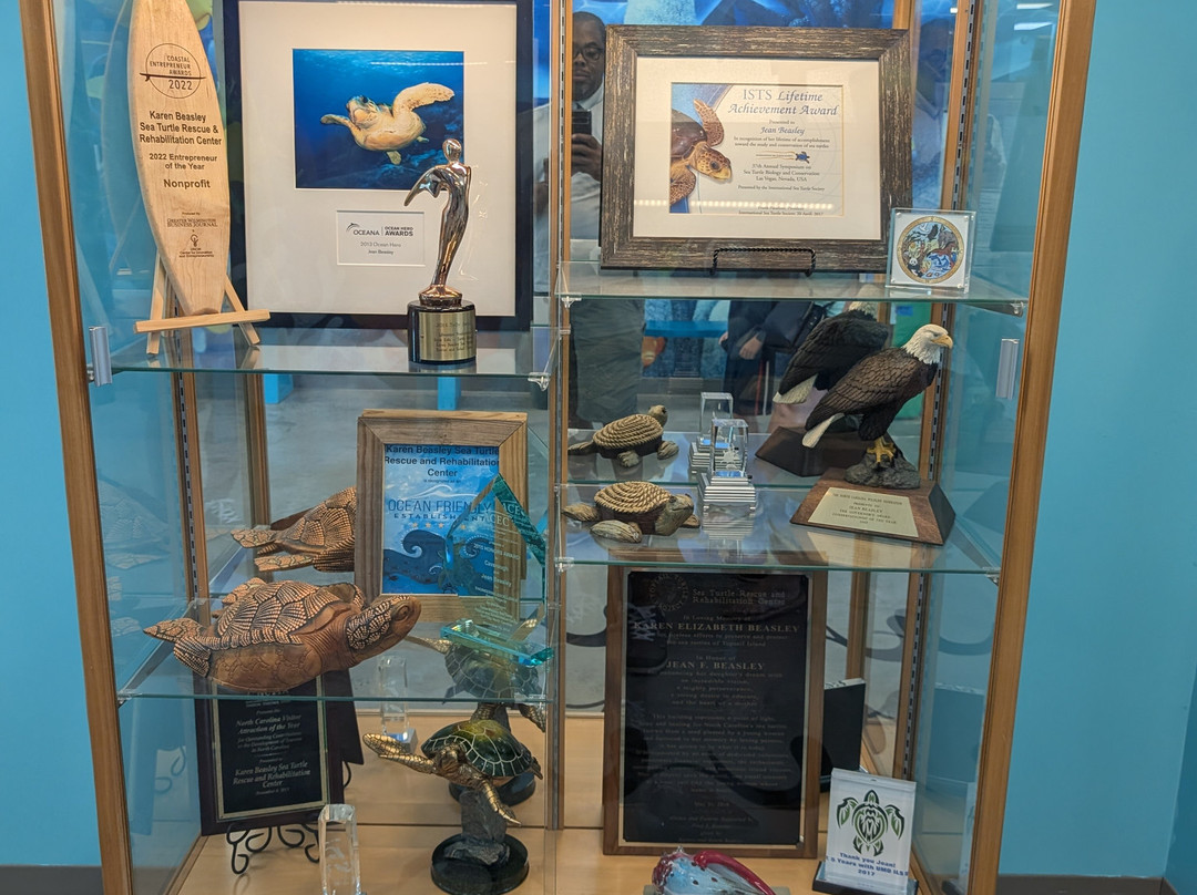 The Karen Beasley Sea Turtle Rescue and Rehabilitation Center景点图片