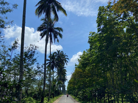 Kalibendo Eco Tourism-巴纽旺宣必去景点
