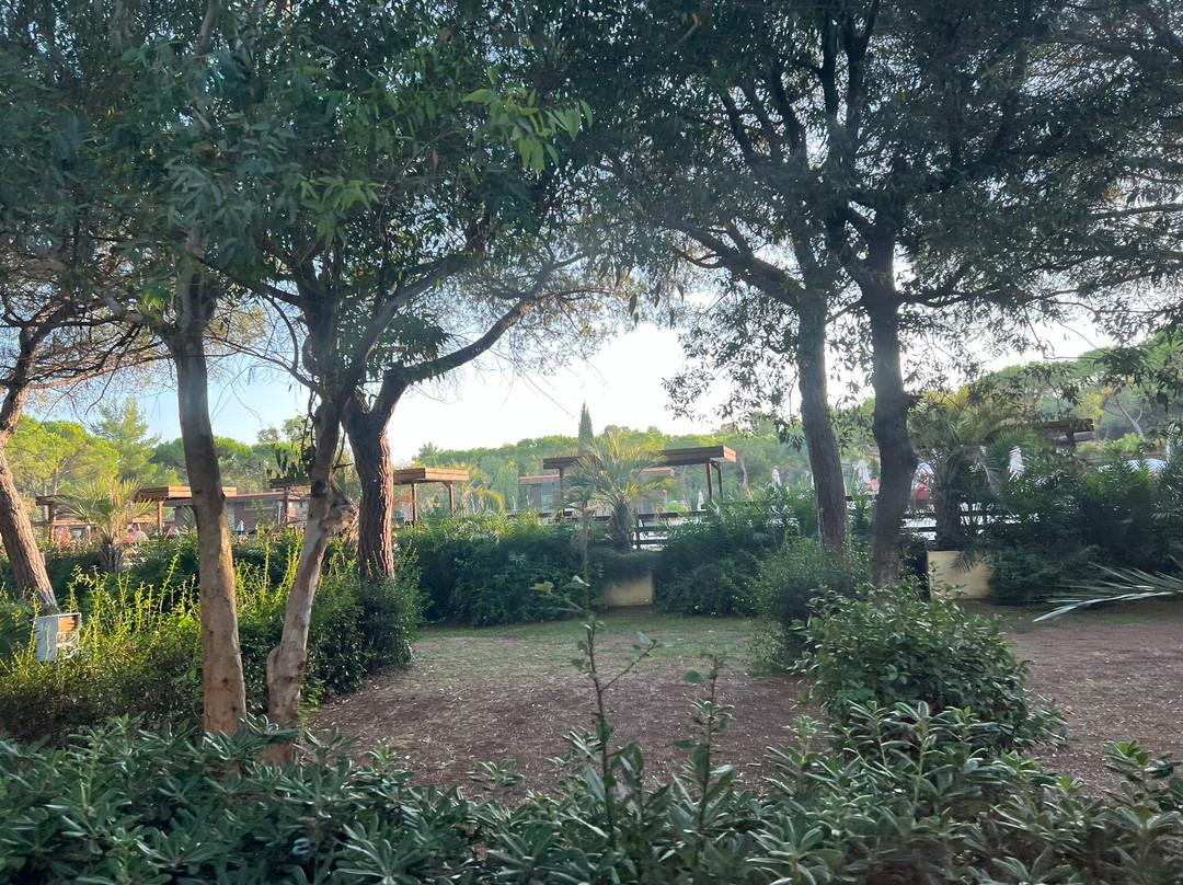 Campo dei Fiori景点图片
