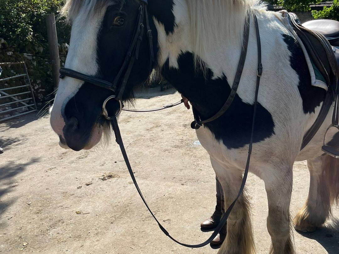 Kilnsey Trekking & Riding Centre景点图片