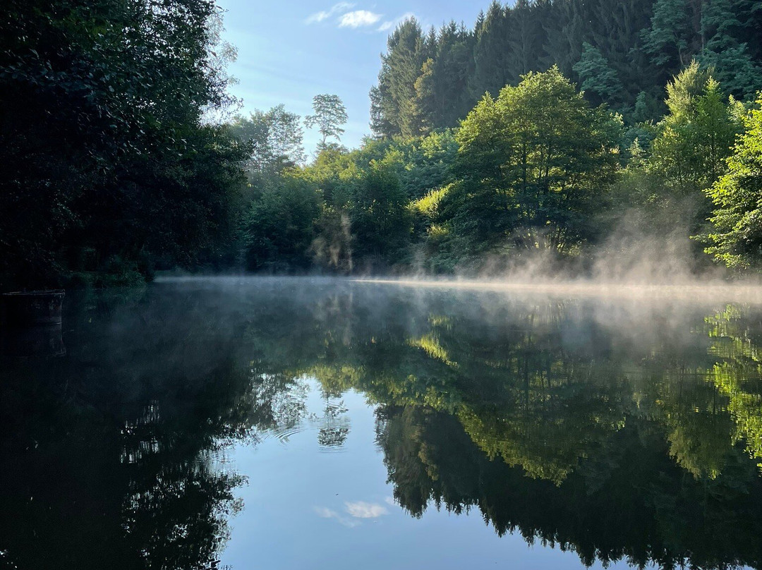 Camping Moulin De La Geneste主图
