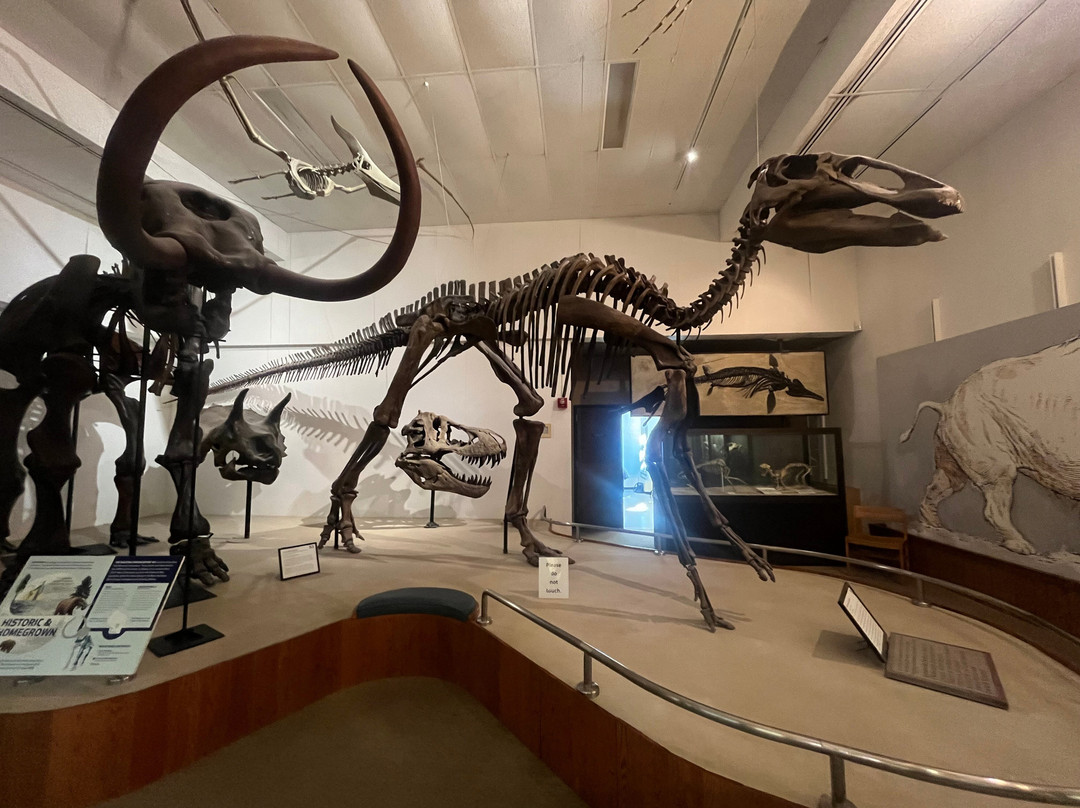 University of Wisconsin Geology Museum-麦迪逊必去景点