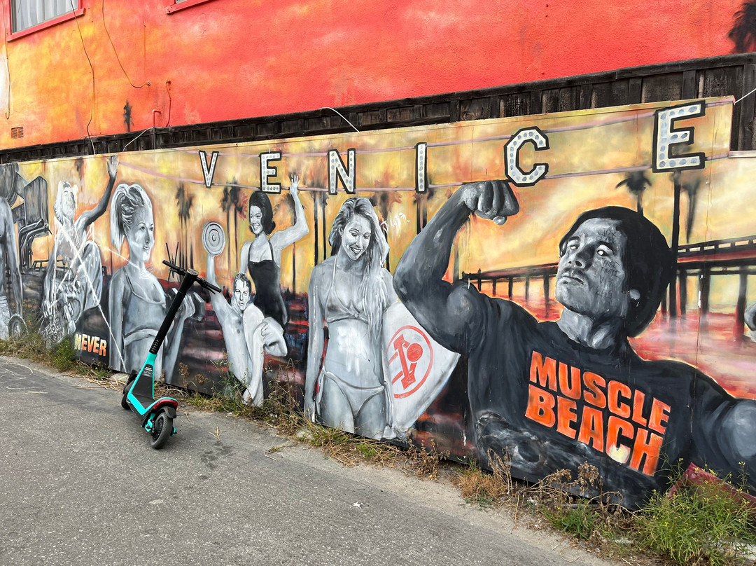 Muscle Beach Venice Gym-洛杉矶必去景点