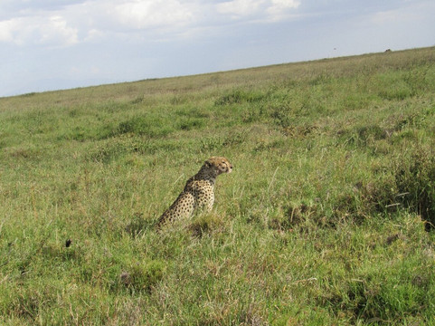 Lwt safaris-莫西必去景点