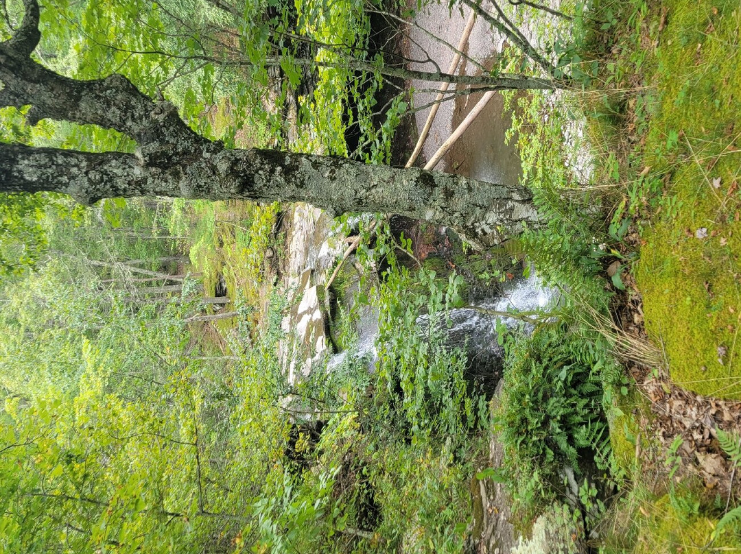 Riedlbauer's Resort主图