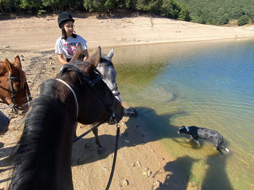 Centro Equestre Taloro-Fonni必去景点