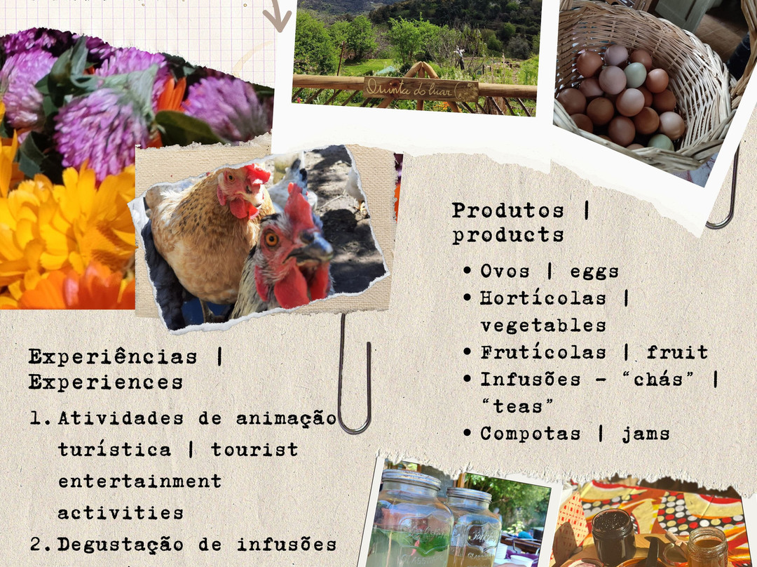 Quinta Do Luar-null必去景点