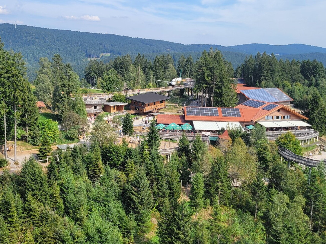 Baumwipfelpfad Bavarian Forest-Neuschonau必去景点