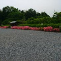 Keizo