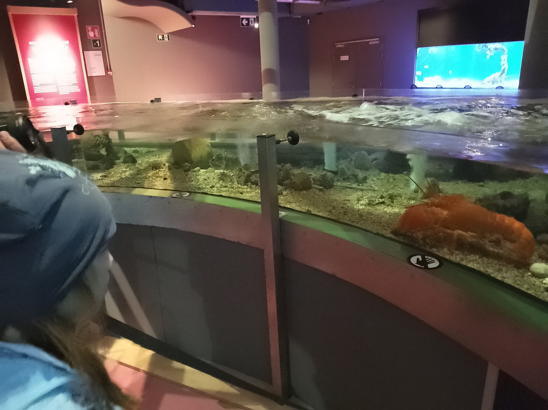 NAVIGO - National Fisheries Museum-东代恩凯尔克必去景点