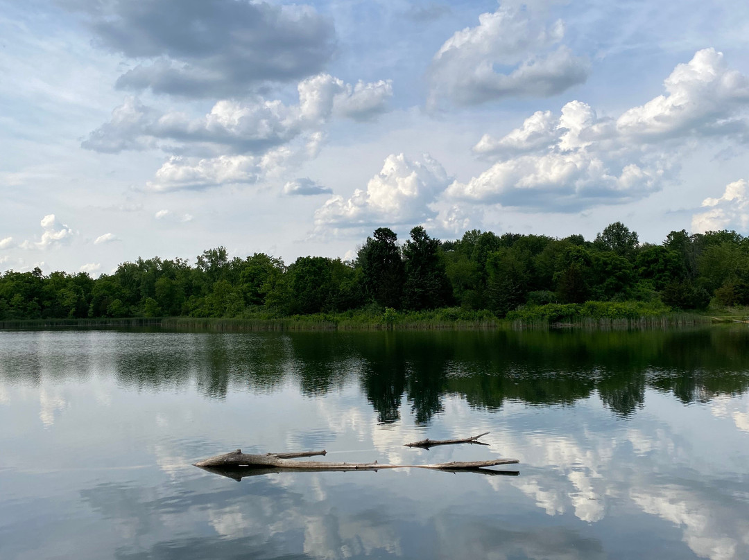 Possum Creek MetroPark-代顿必去景点