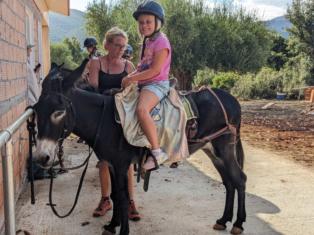 Donkey Trekking Kefalonia-萨米必去景点