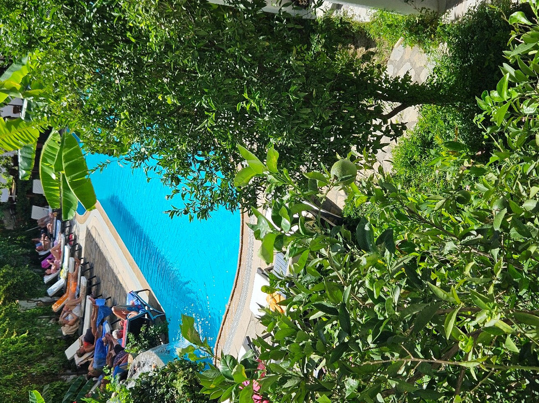 Dalyan Central Park Hotel主图