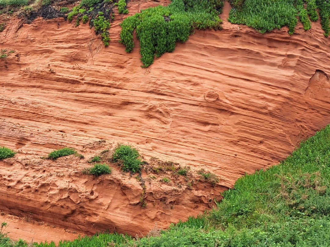 Red Rock Beach-Dawlish Warren必去景点