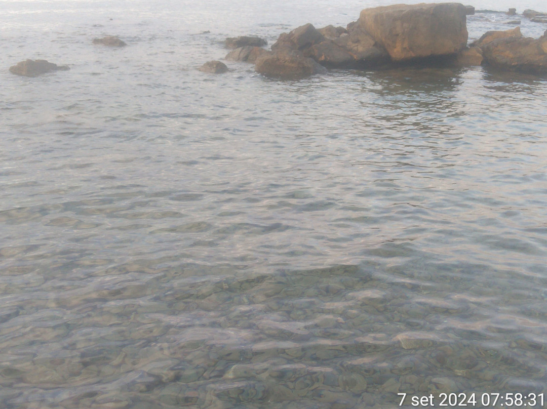 Cala del Leone景点图片