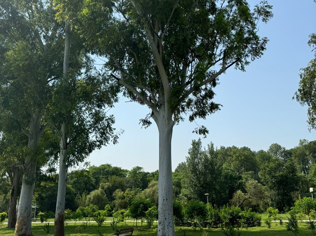 Rose and Jasmine Garden-伊斯兰堡必去景点