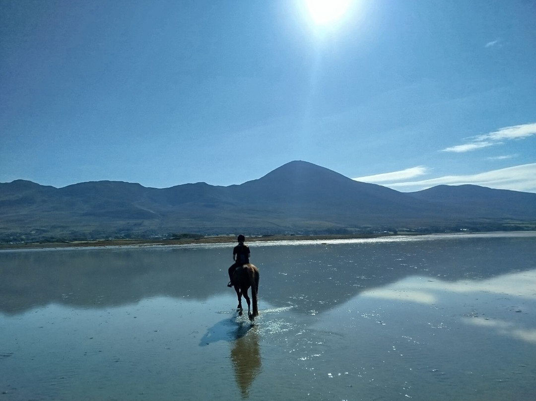 Croagh Patrick Stables-Murrisk必去景点