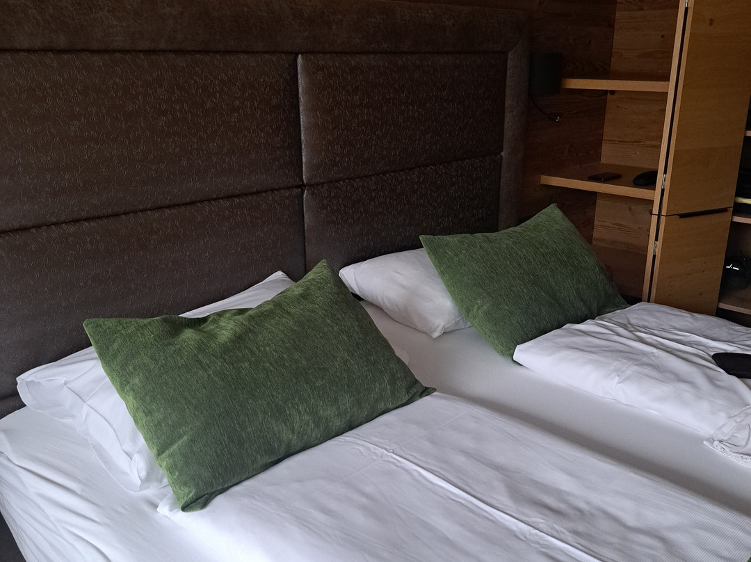 Hotel Grüner Baum主图