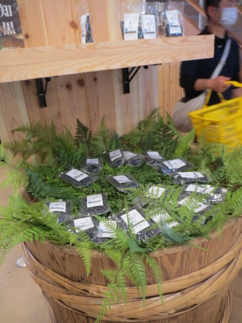 Michi-no-Eki Nagomi-京丹波町必去景点