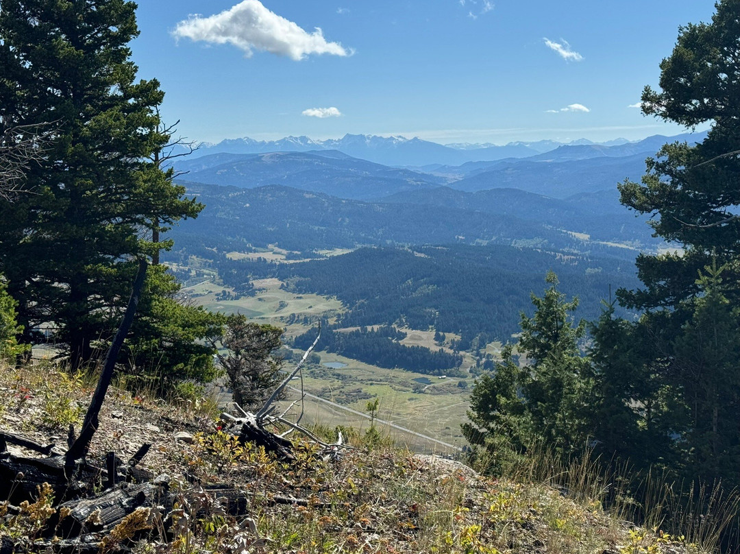 College M Trailhead and Picnic Area