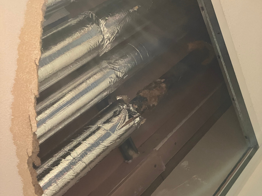 Travelodge Chippenham Leigh Delamere M4 Westbound主图