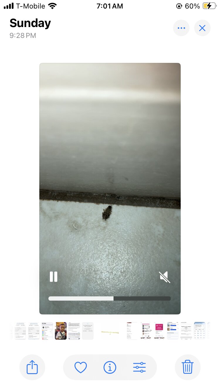 Super 8 by Wyndham Gurnee-浴室