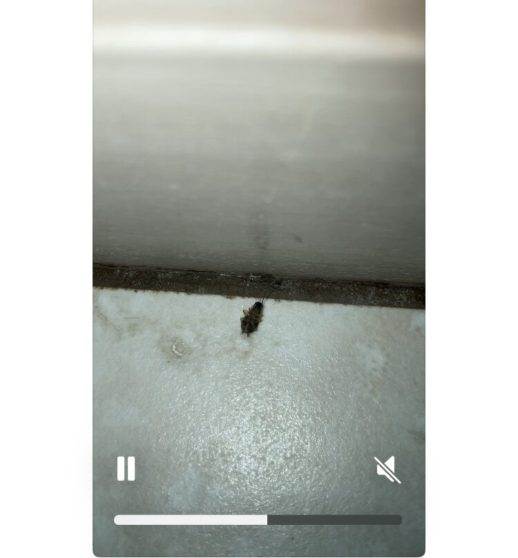 Super 8 by Wyndham Gurnee主图