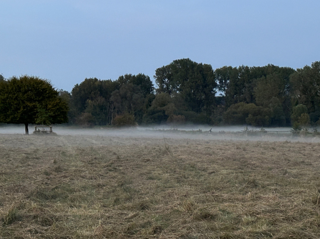 The Apple Rooms - Houghton Lodge主图