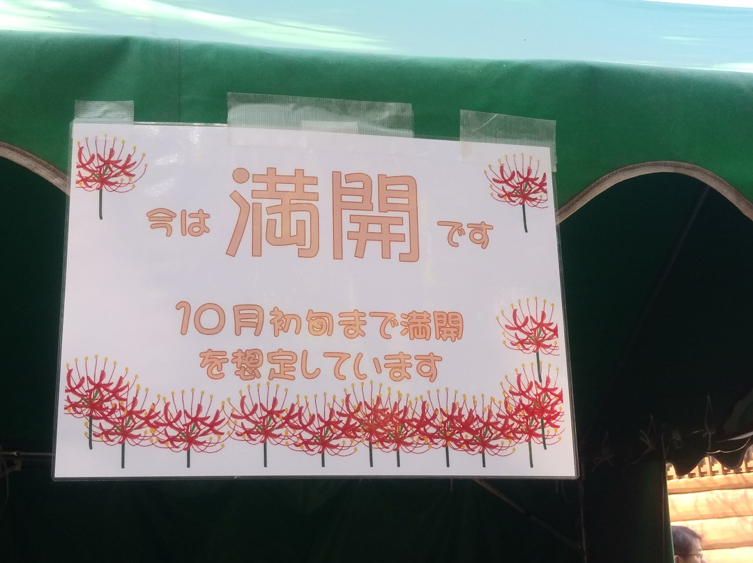 Kinchakuda Manjushage Park-日高市必去景点