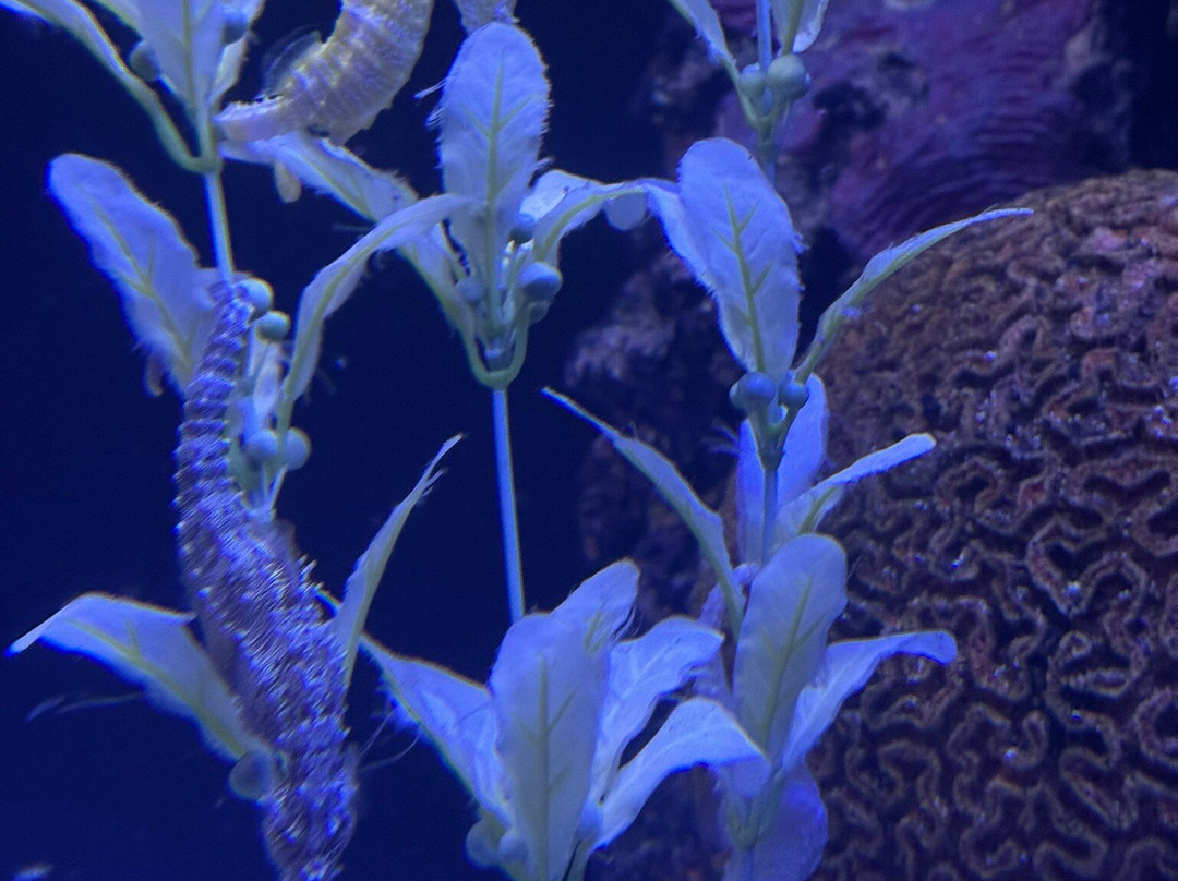 Minnesota Zoo-Apple Valley必去景点