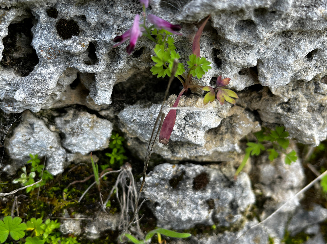 Stokes Beach-Stokes Bay必去景点