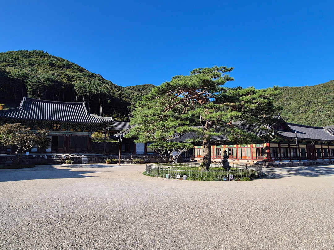 Wibongsa-完州郡必去景点