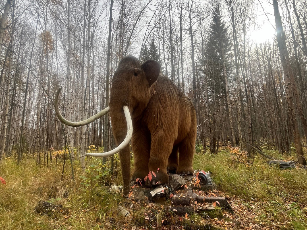 Jurassic Forest-Gibbons必去景点