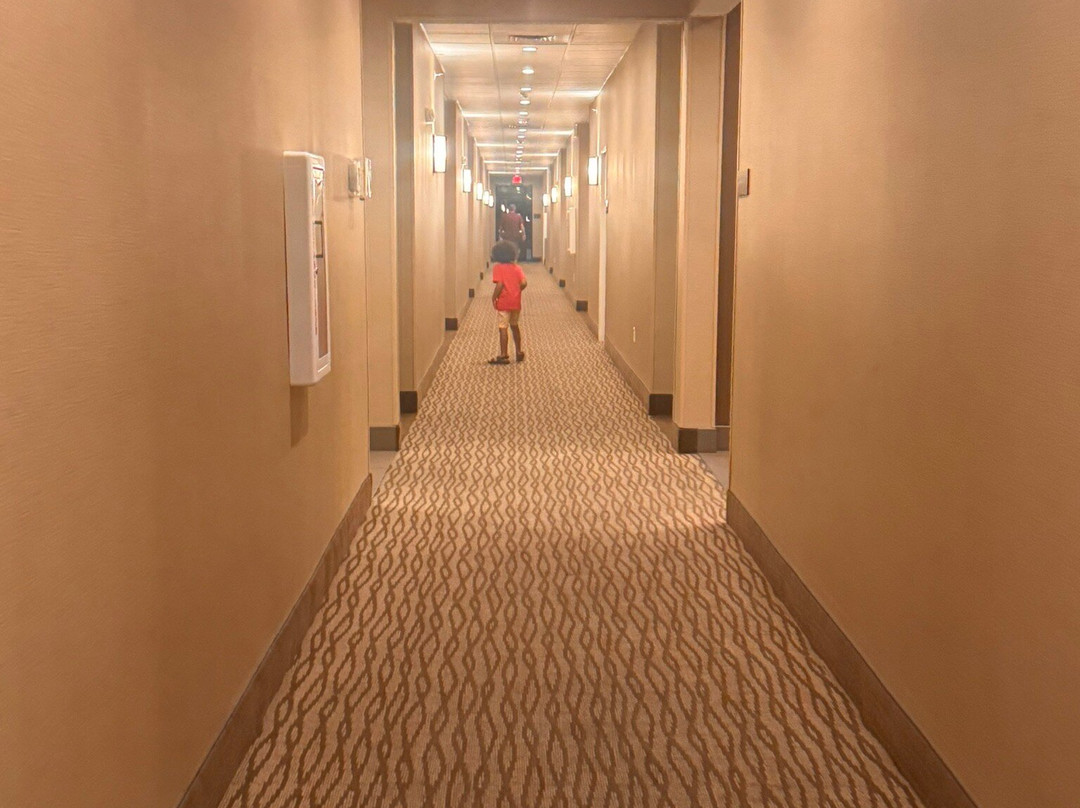 Comfort Suites主图