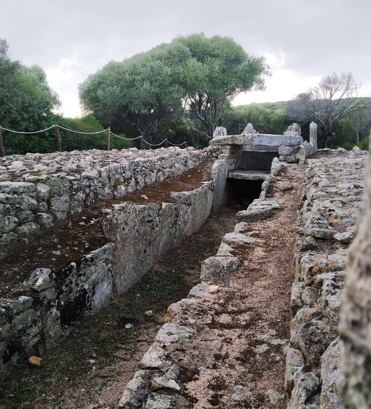 Tomba dei Giganti di Li Lolghi-Arzachena必去景点