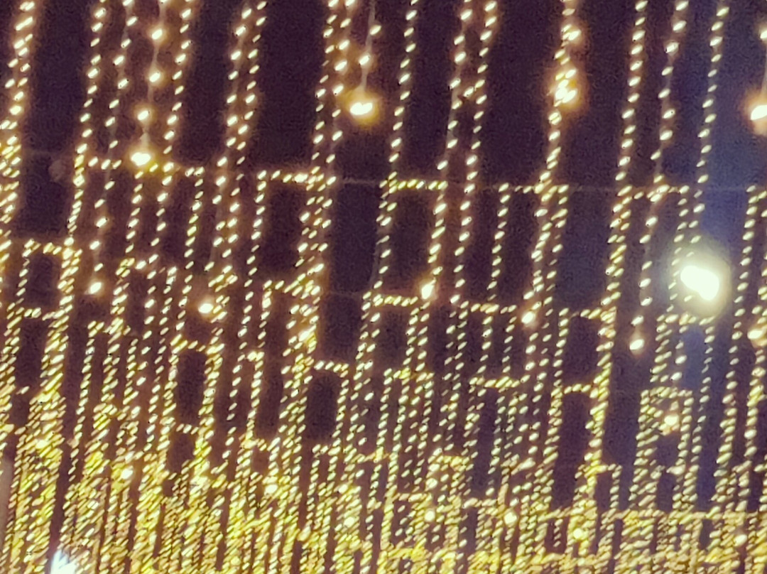 Lakshmi Venkataramanaswamy temple-迈索尔必去景点